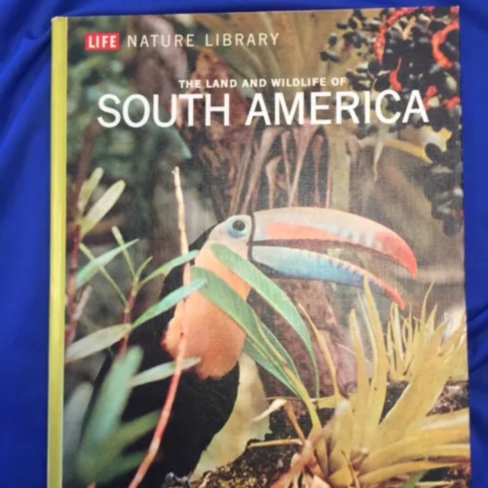 LIFE Book - 1968